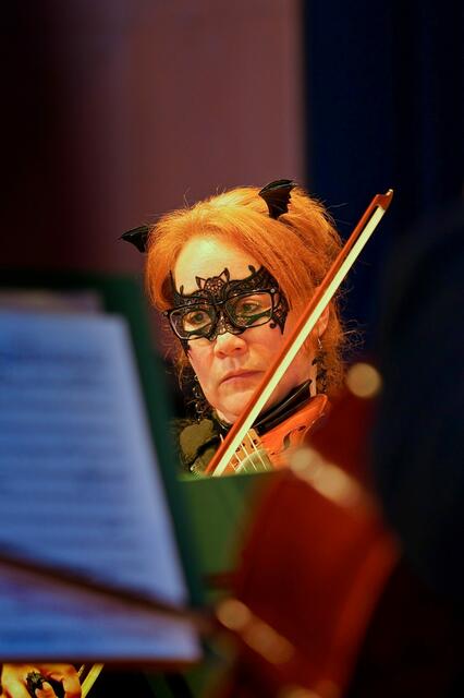 Foto: (c) Gerhard Schwingenschlögl