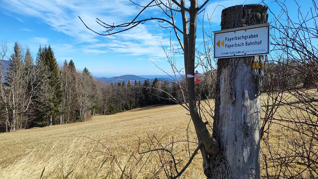 auch der Blick Richtung Gloggnitz gefällt uns... | Foto: I.Wozonig