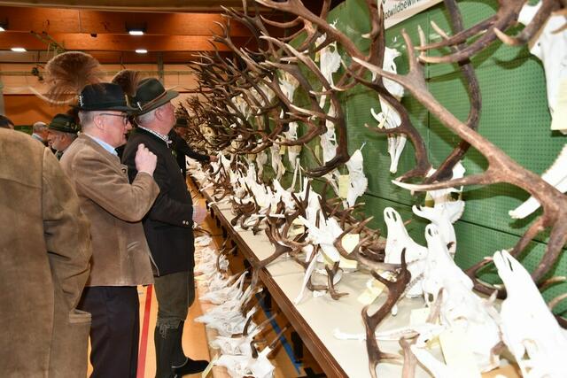 Erntedank der Jägerschaft die Trophäenschau in der WM Halle Murau. | Foto: Anita Galler