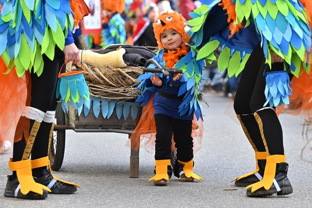 Foto: Wolfgang Spitzbart