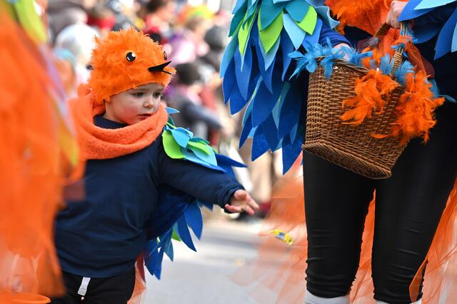 Foto: Wolfgang Spitzbart