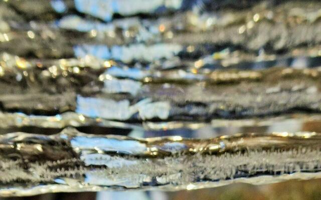 Wunder der Natur =&gt; Rätselbild 1.1 (Bildausschnitt - waagrechte Version) | Foto: © Silvia Plischek