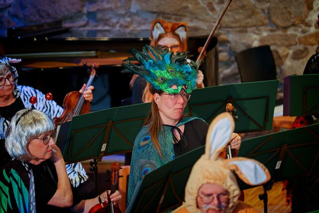 Foto: (c) Gerhard Schwingenschlögl
