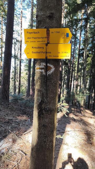 ca. 1,5 Std geht man von Payerbach auf die Voslhöhe... | Foto: I.Wozonig