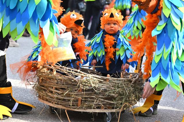 Foto: Wolfgang Spitzbart