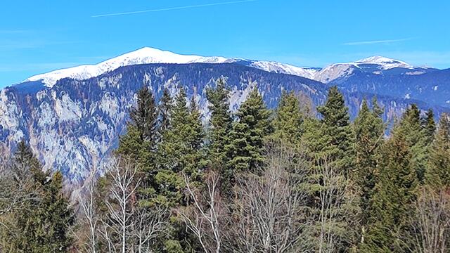 der Schneeberg mit dem Klosterwappengipfel links, das Hochplateau, rechts die Kaiserin-Elisabeth-Gedächtniskirche... | Foto: I.Wozonig