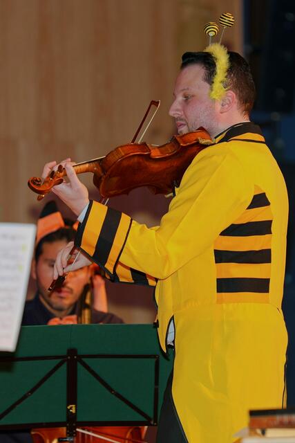 Foto: (c) Gerhard Schwingenschlögl