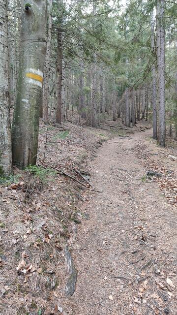 die gelbe Markierung zeigt uns den Weg... | Foto: I.Wozonig
