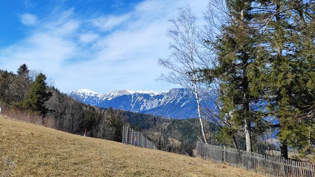 auf der Voslhöhe zeigt sich die Rax in voller Pracht... | Foto: i.Wozonig