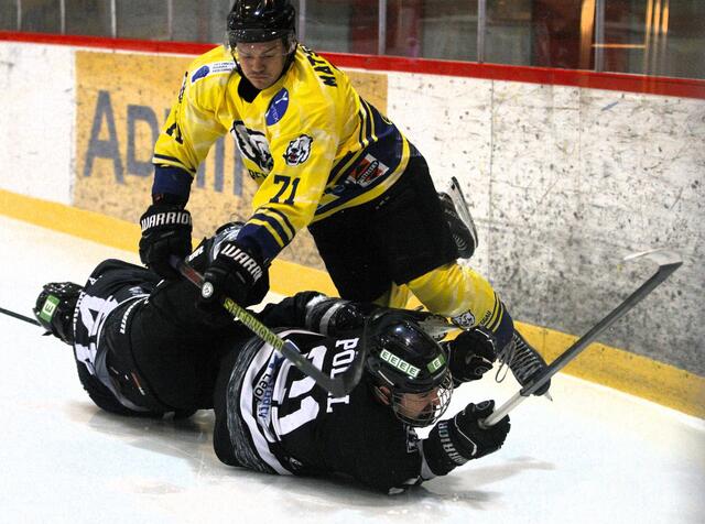 Die Kings stolperten im Halbfinale der Eliteliga. | Foto: LE Kings