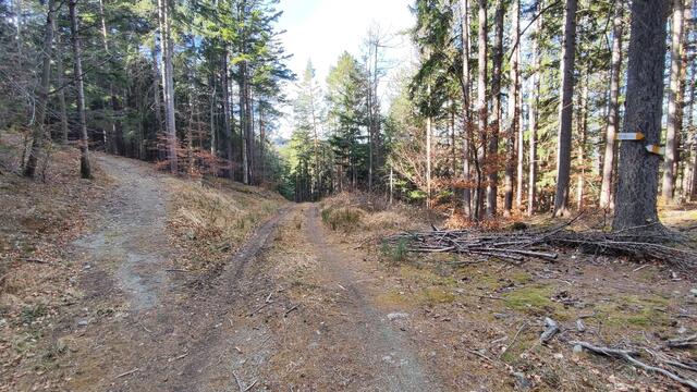 dzt. etwas farblos, aber es ist trotzdem schön anzusehen... | Foto: I.Wozonig