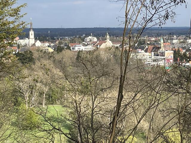 Wer Leibnitz zu Fuß erkundet, kann diesen besonderen Blick auf die Stadt genießen. | Foto: Waltraud Fischer