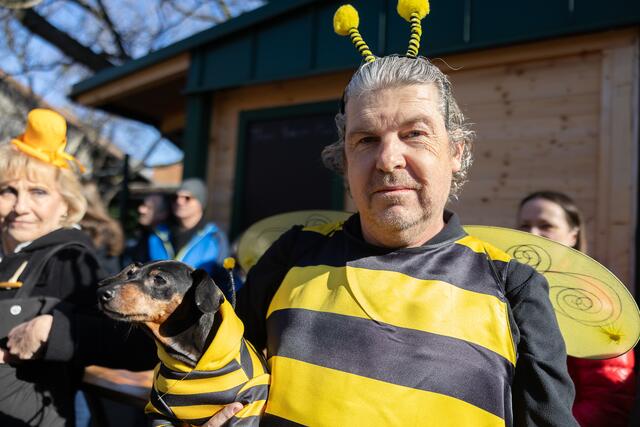 Auch eine große Biene mit einem Hund waren mit dabei. | Foto: René Brunhölzl/MeinBezirk