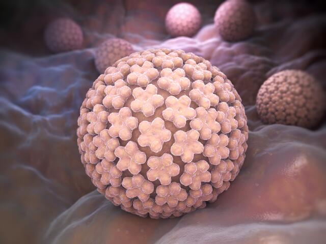 Am 4. März ist Welt-HPV-Tag- | Foto: iLexx/panthermedia