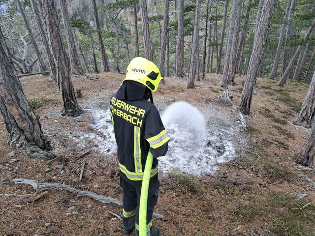 Foto: Freiwillige Feuerwehr Payerbach