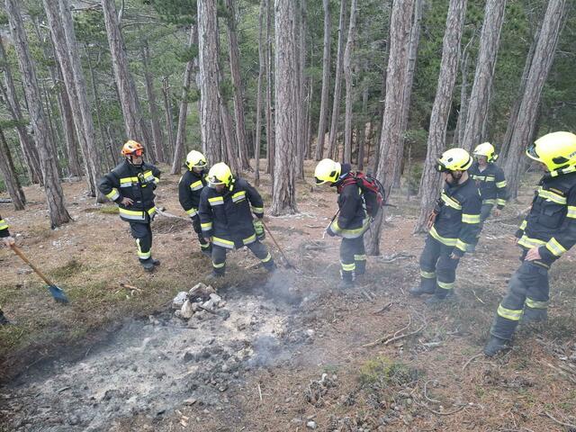 Foto: Freiwillige Feuerwehr Payerbach