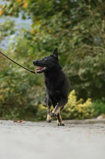 Foto: Tierschutzverein Tirol
