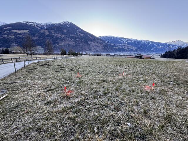 Auf diesem ca. 1. Hektar großen Grundstück soll die PV Anlange gebaut werden. Die Position für die Trafostation ist bereits bestimmt.  | Foto: Haun