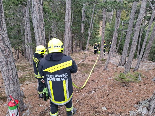Foto: Freiwillige Feuerwehr Payerbach