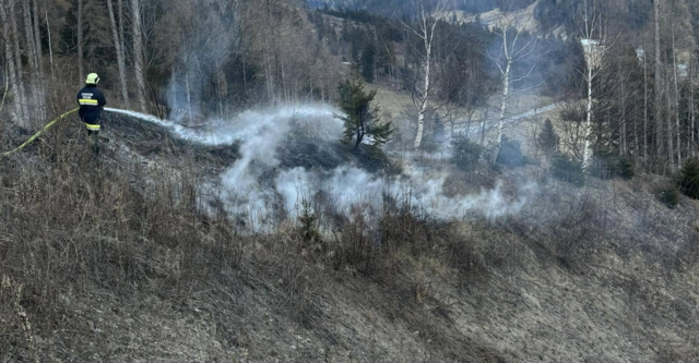 Foto: Feuerwehr Mörtschach