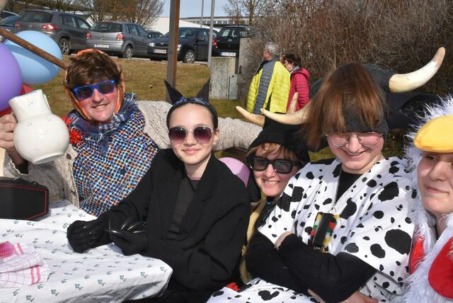 Großer Faschingsumzug am Dienstag, 4. März 2025 durch Bad Kreuzen.  | Foto: Robert Zinterhof