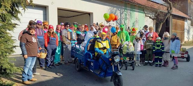 Die Eulenbacher Faschingsnarren beim Umzug 2025. | Foto: VSV Eulenbach