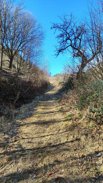 bei einem Schranken biegt man links in diesen Wiesenweg ein... | Foto: I.Wozonig