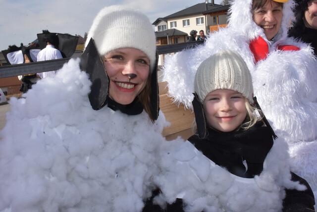 Großer Faschingsumzug am Dienstag, 4. März 2025 durch Bad Kreuzen.  | Foto: Robert Zinterhof