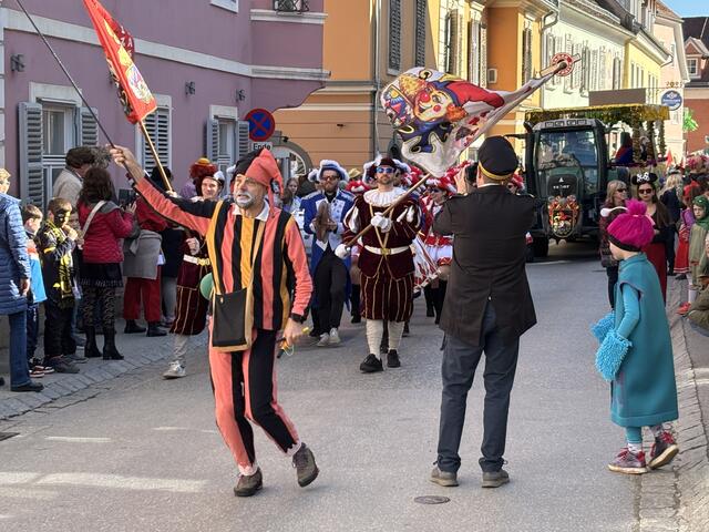 Die Narren zogen am Faschingsdienstag wieder durch die Innenstadt von Weiz. | Foto: MeinBezirk/Hofmüller