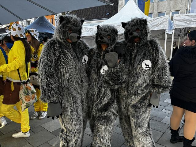 Bärchenparade am Amstettner Hauptplatz | Foto: Dietl-Schuller