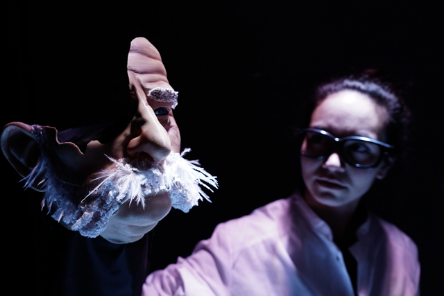 Verschiedenste Puppen und Workshops zu dem Thema gibt's im Rahmen eines Figurenfestivals im Schubert Theater.  | Foto: Schubert Theater