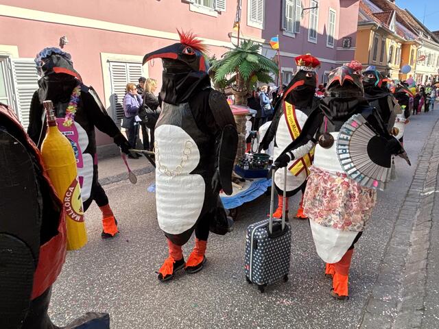 Foto: MeinBezirk/Hofmüller