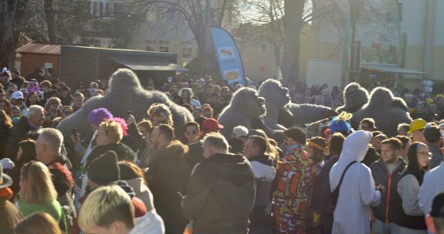 Foto: Sascha Trimmel