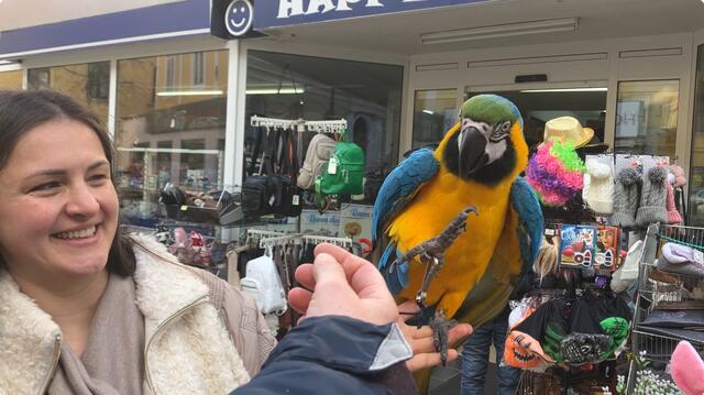 Mit der rechten Kralle winkt Rocky zum Abschied | Foto: Stockmann