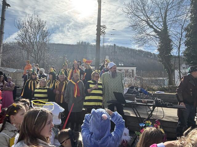 Buntes Faschingstreiben am Purkersdorfer Hauptplatz. | Foto: Marlene Trenker