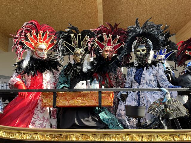 Foto: Mag. Wilma Langer-Bruckner BEd.