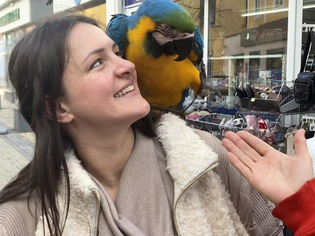 Ara Rocky - ein bunter Vogel begeistert in der Unteren Wassergasse | Foto: Stockmann
