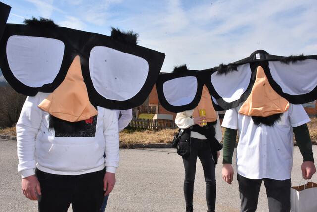 Großer Faschingsumzug am Dienstag, 4. März 2025 durch Bad Kreuzen.  | Foto: Robert Zinterhof