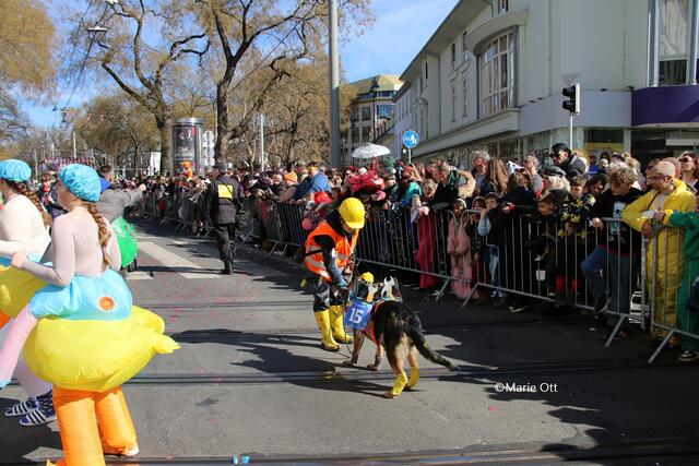 1. PLATZ Einzel
