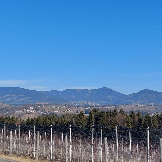 Herrliche Aussicht... - Blick Richtung Weiz