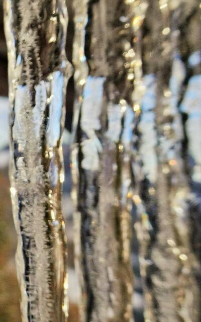 Rätselbild 1.2 =&gt; Zusatzbild auf Anfrage =&gt; Bildausschnitt - senkrechte Version | Foto: © Silvia Plischek