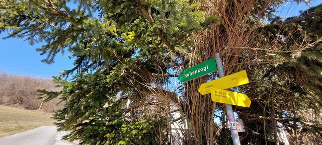 ...von nun an geht's bergauf...