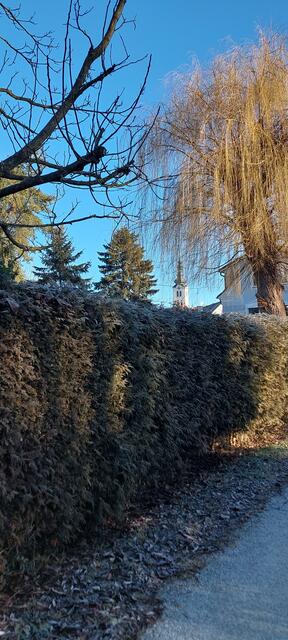 Kirchturm St.Ruprecht an der Raab 