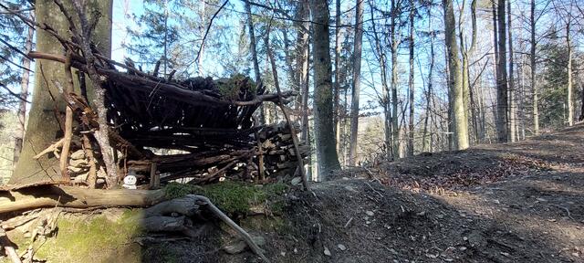 Wanderweg durch den Wald, hinunter zur Raabklamm