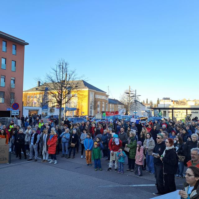 300 Demonstranten folgten den Aufruf der "Omas von rechts". | Foto: Friedl