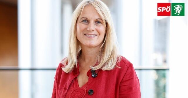 Elisabeth Grossmann setzt sich im Europäischen Parlament mit Nachdruck dafür ein, dass unsichere Billigprodukte, die oft ohne ausreichende Qualitätskontrollen auf den Markt kommen, konsequent vom Markt verschwinden. | Foto: Spö