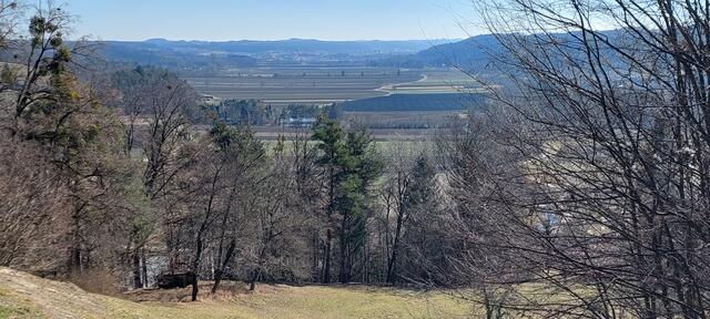 Rückblick ins Raabtal - Richtung St.Ruprecht und Gleisdorf...