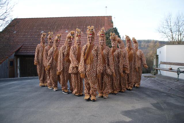 Die Giraffen der Faschingsgilde Riegers | Foto: Faschingsgilde Riegers