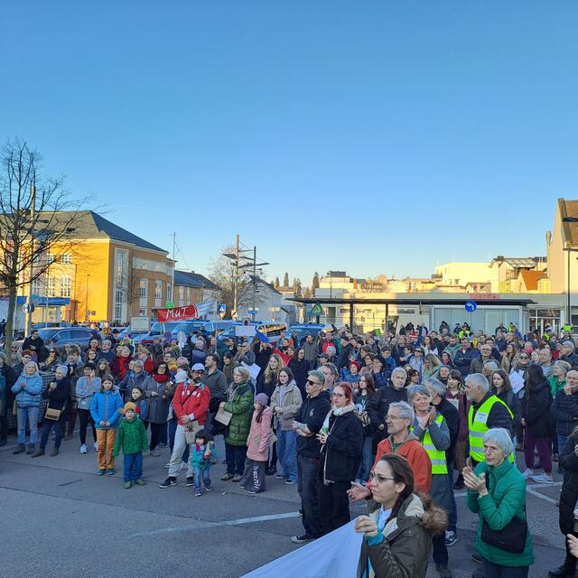 300 Demonstranten folgten den Aufruf der "Omas von rechts". | Foto: Friedl