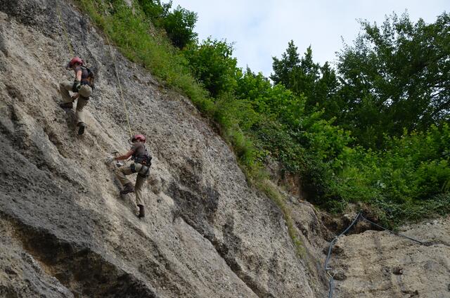 Von zehnten bis zwölften März 2025 führen die Bergputzer Strauchschnittarbeiten über dem Anton-Neumayr-Platz durch. | Foto: Archivbild: Stadt Salzburg/ Alexander Killer